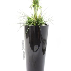 EUROPALMS LEICHTSIN ELEGANCE-110, schwarz, glänzend