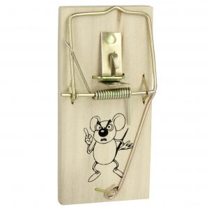 METALTEX Mausefalle 2er Set